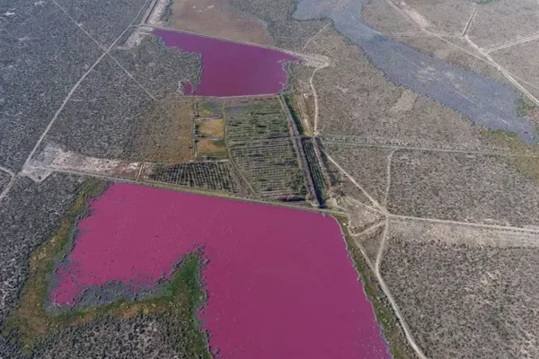 Pollution Turns Two Argentina Lakes Bright Pink and Foul-Smelling