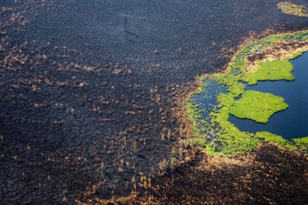 Smoke From Siberia’s Wildfires Reaches The North Pole for The First Time In History