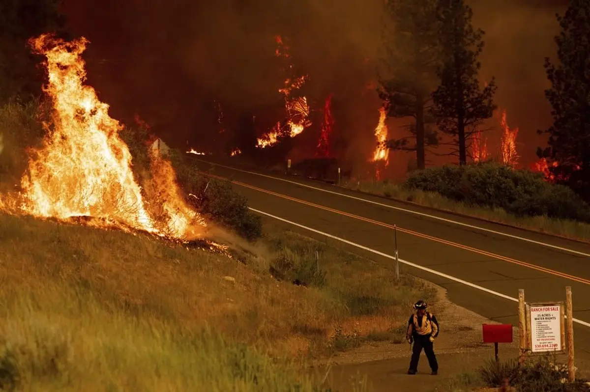 Wildfire Season 2021 in Pictures