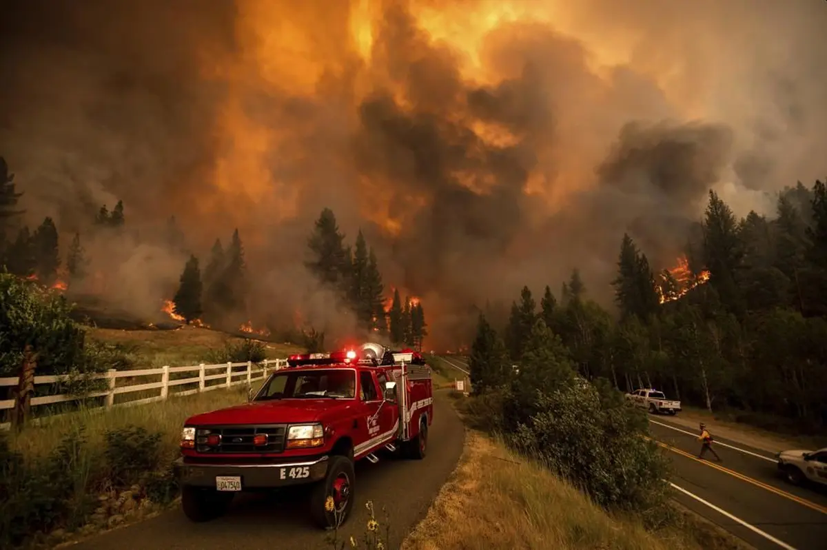 Wildfire Season 2021 in Pictures