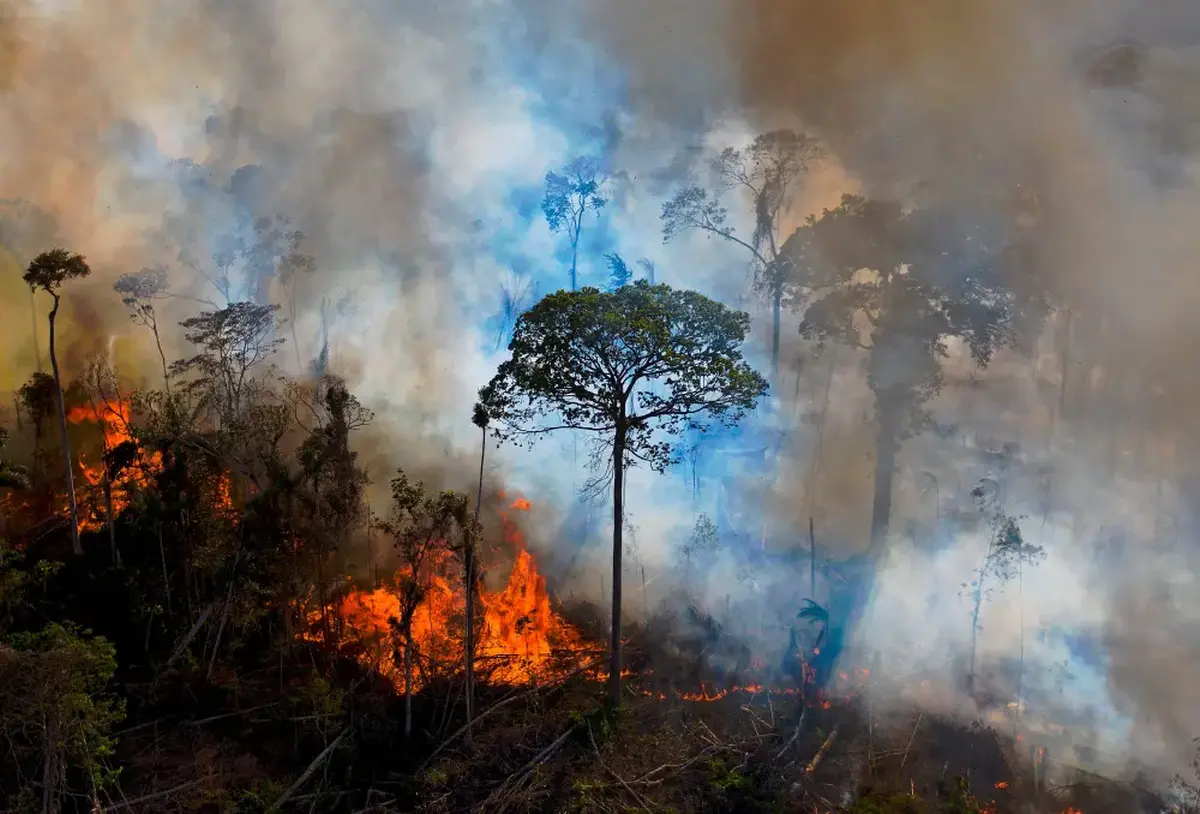 Wildfire Season 2021 in Pictures