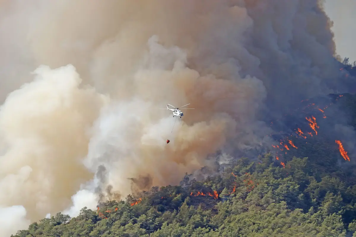 Wildfire Season 2021 in Pictures