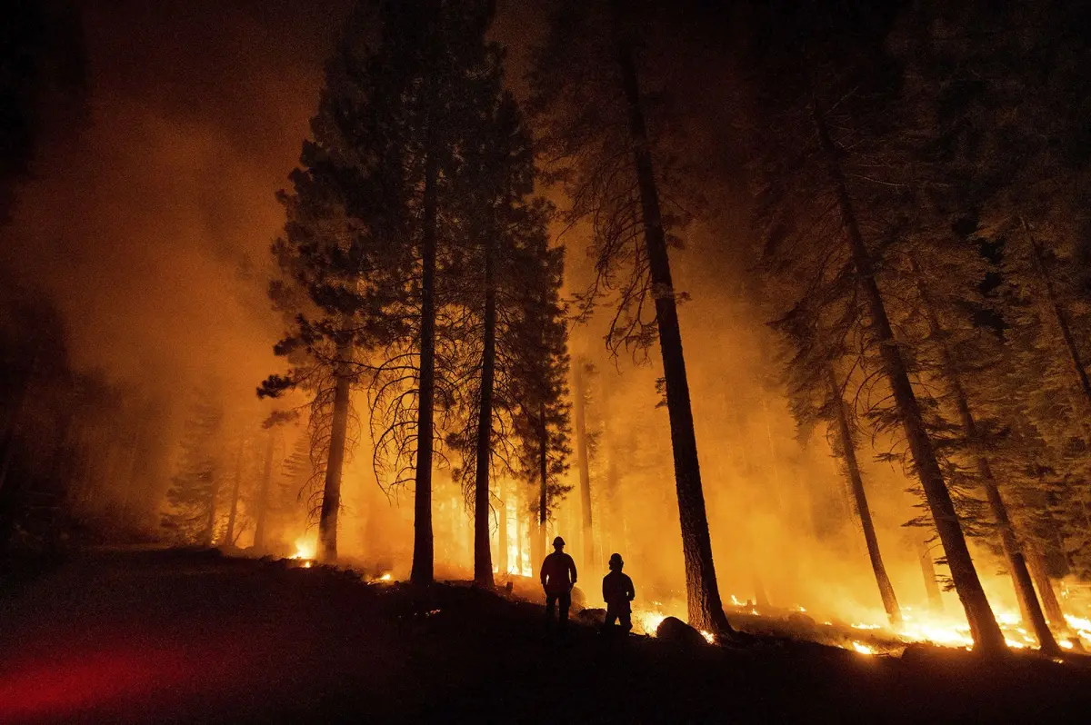 Wildfire Season 2021 in Pictures