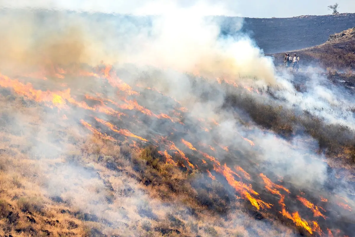 Wildfire Season 2021 in Pictures