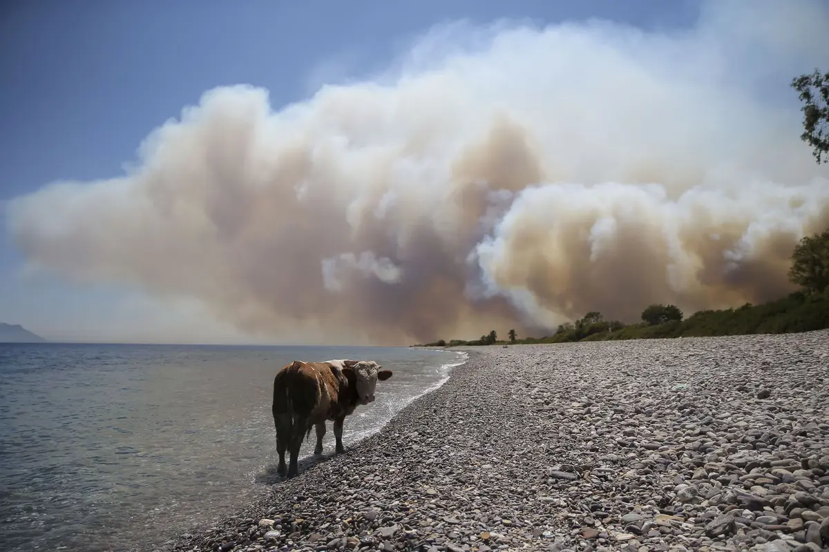 Wildfire Season 2021 in Pictures