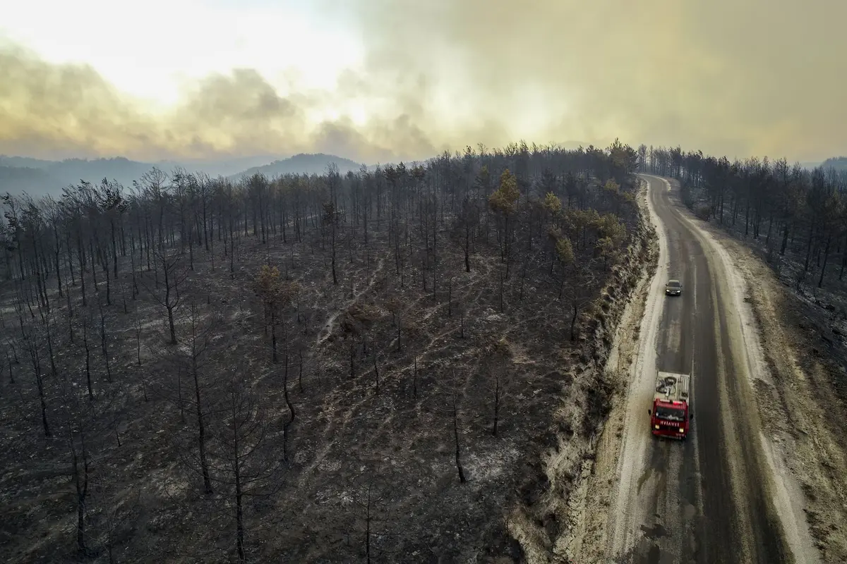 Wildfire Season 2021 in Pictures