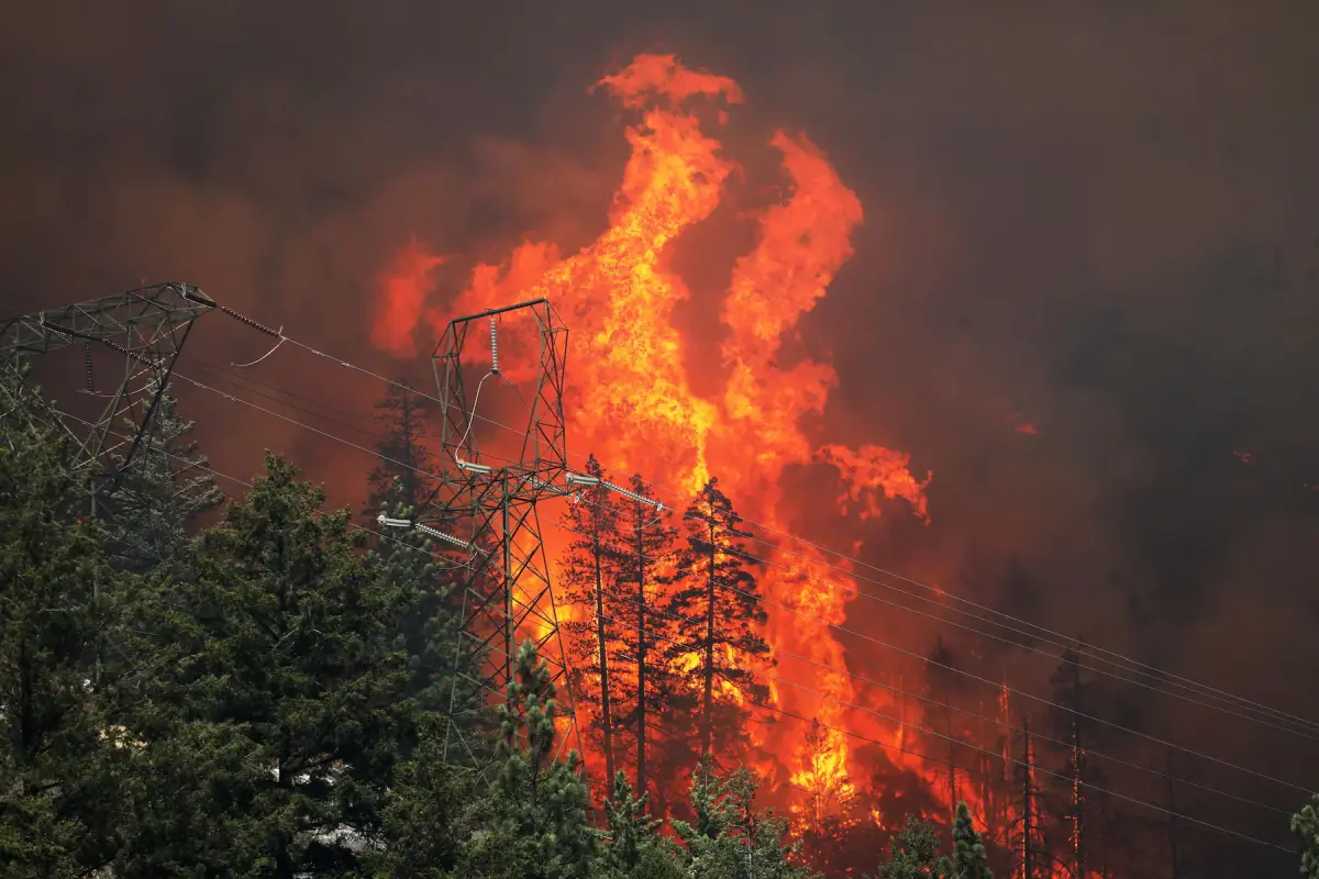 Wildfire Season 2021 in Pictures