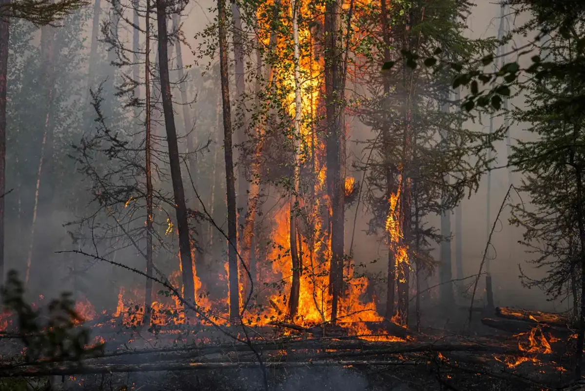 Wildfire Season 2021 in Pictures