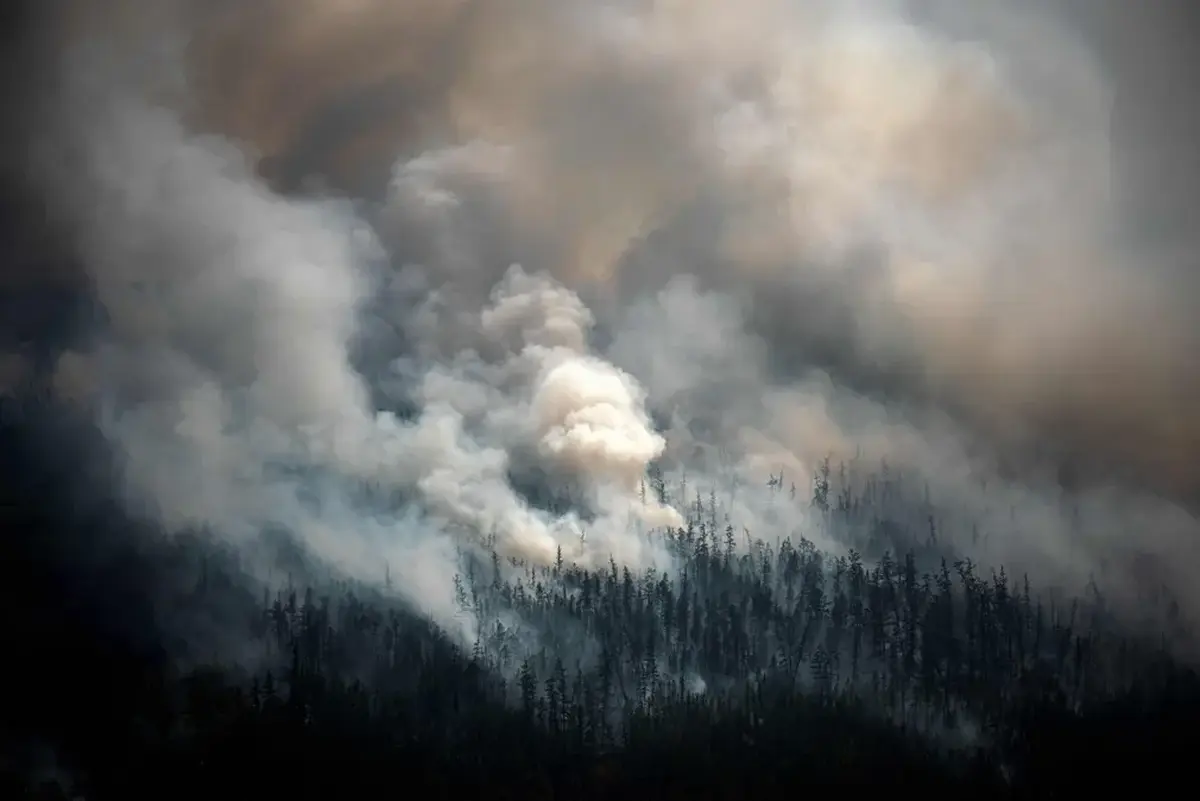 Wildfire Season 2021 in Pictures