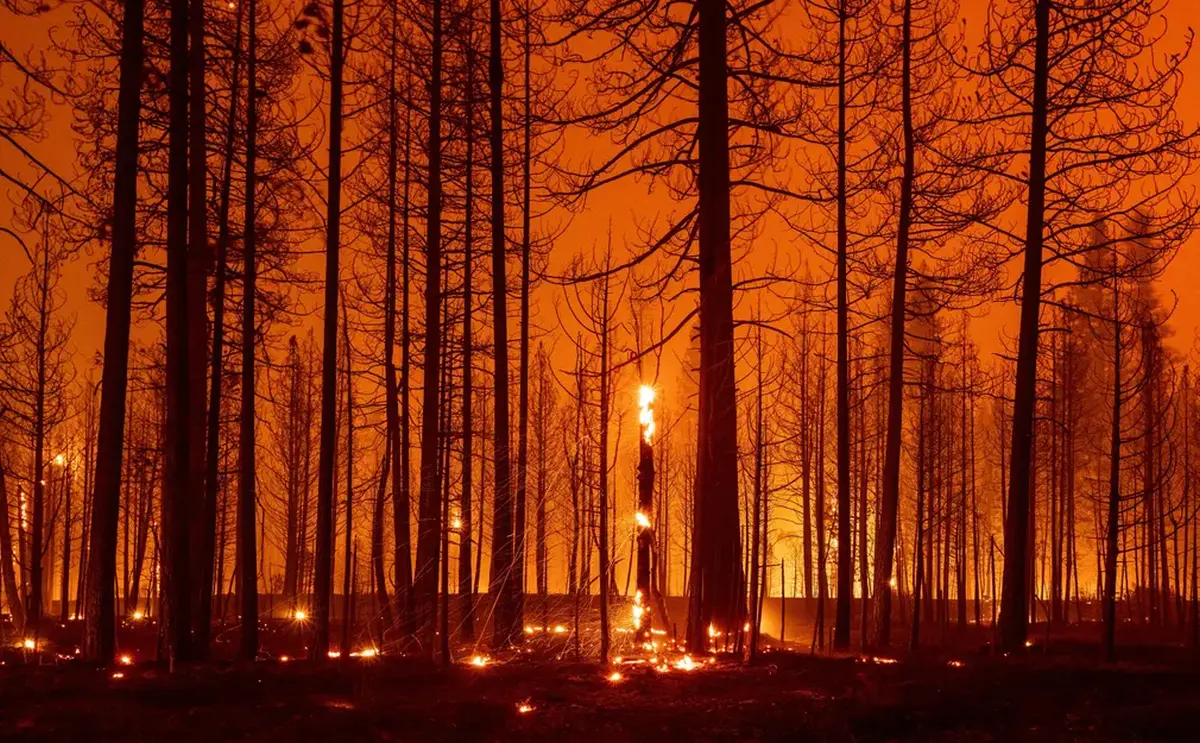 Wildfire Season 2021 in Pictures