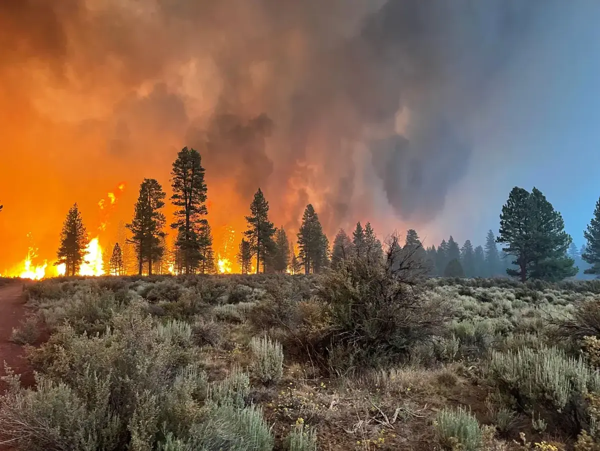 Wildfire Season 2021 in Pictures