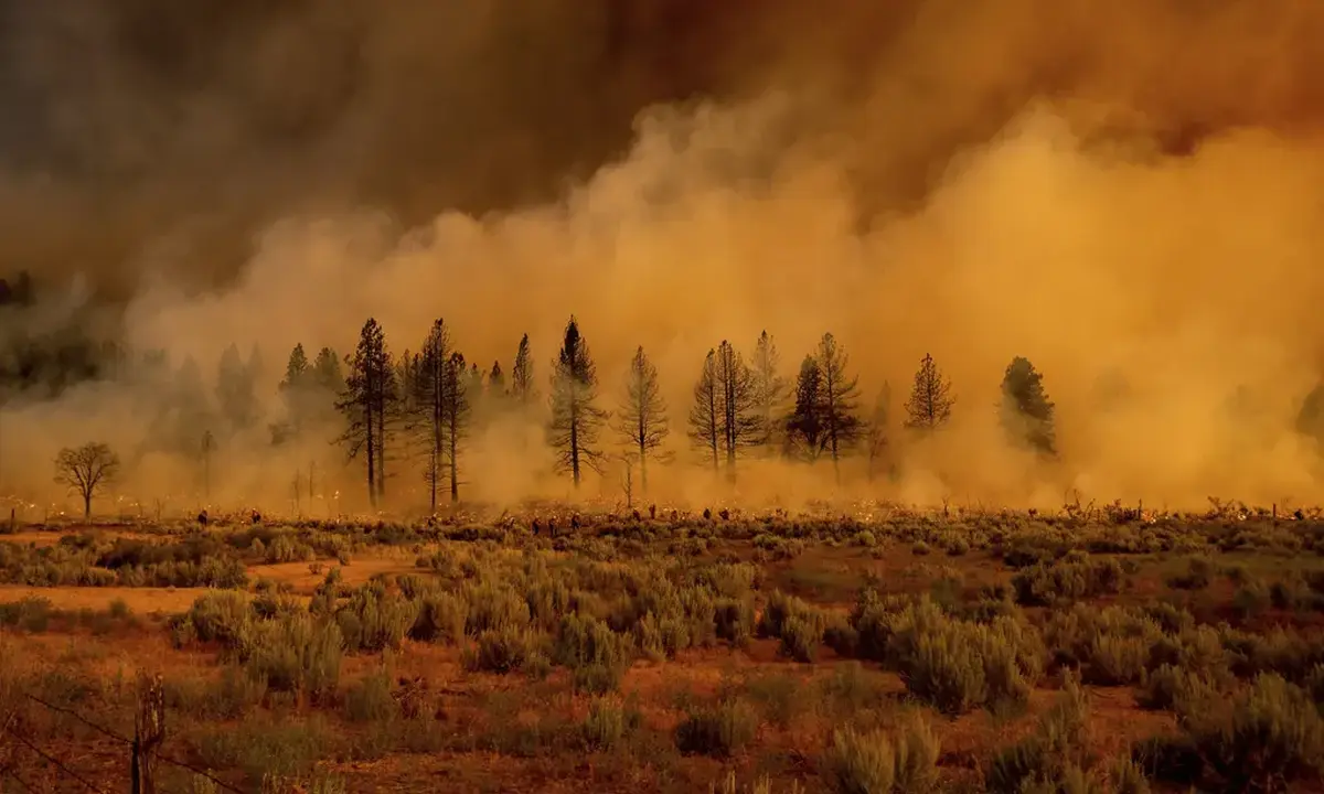 Wildfire Season 2021 in Pictures