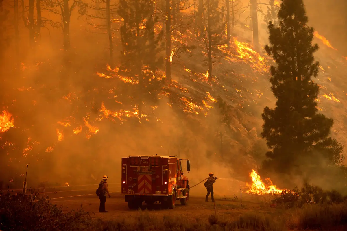 Wildfire Season 2021 in Pictures