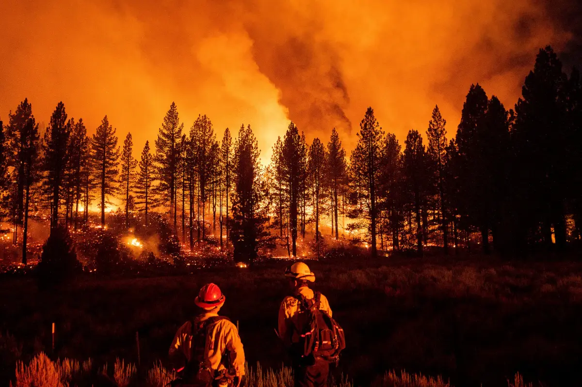 Wildfire Season 2021 in Pictures