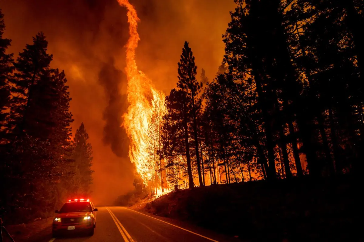 Wildfire Season 2021 in Pictures