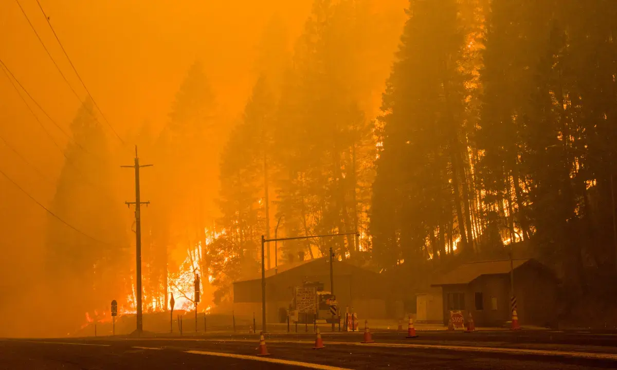 Wildfire Season 2021 in Pictures