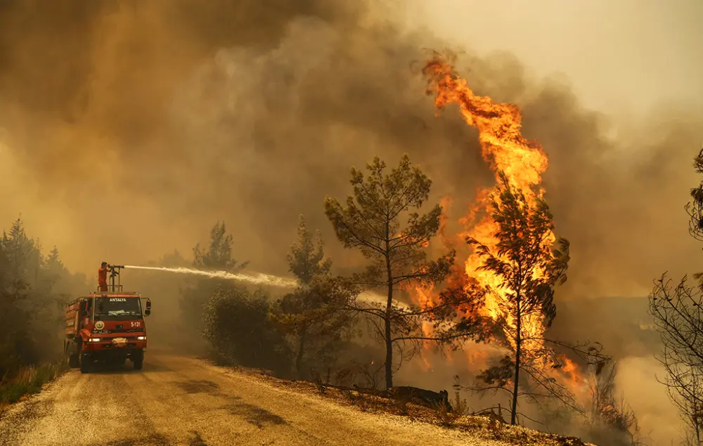 Wildfires Ravage Southern Europe, People Evacuate as Death Toll Rises