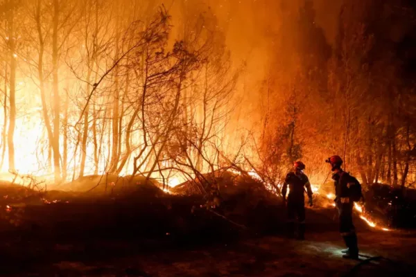 Wildfires Ravage Southern Europe, People Evacuate as Death Toll Rises