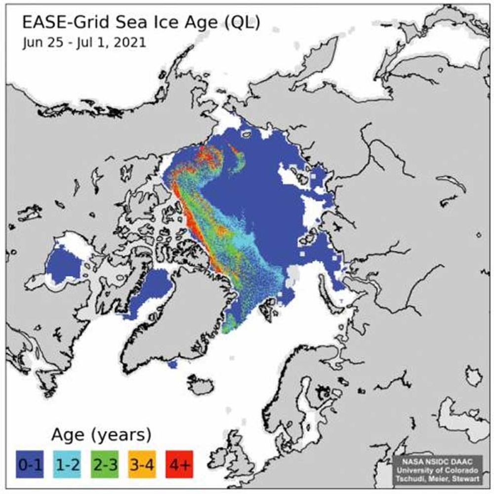 Arctic sea ice set amount of multiyear ice at a record low