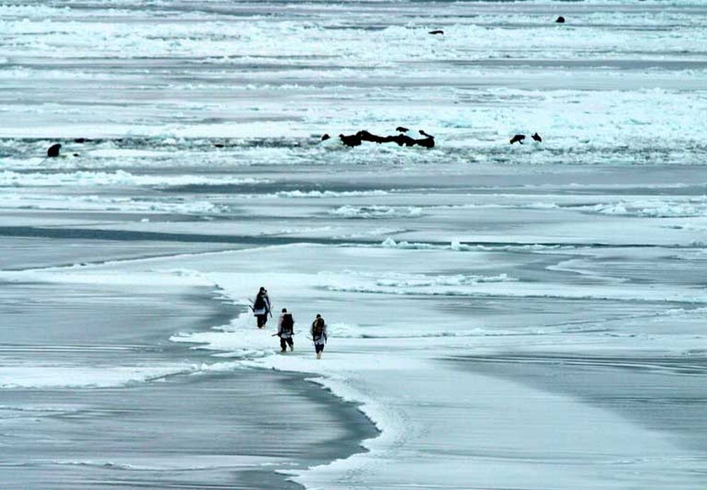 Arctic sea ice set amount of multiyear ice at a record low