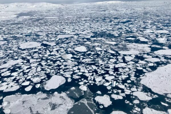 Arctic sea ice set amount of multiyear ice at a record low