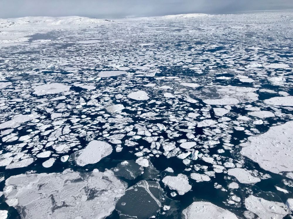Arctic sea ice set amount of multiyear ice at a record low