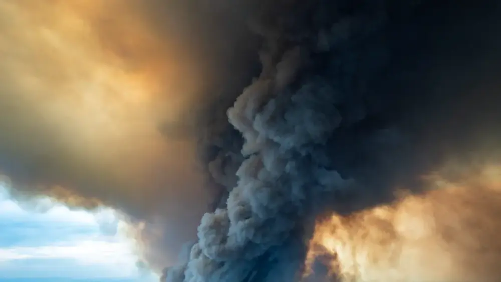 Smoke from 2019-20 Australian Bushfire Caused Phytoplankton Bloom in Southern Ocean