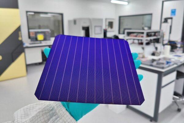 SunDrive Solar Panels