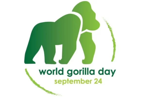 World Gorilla Day 2021