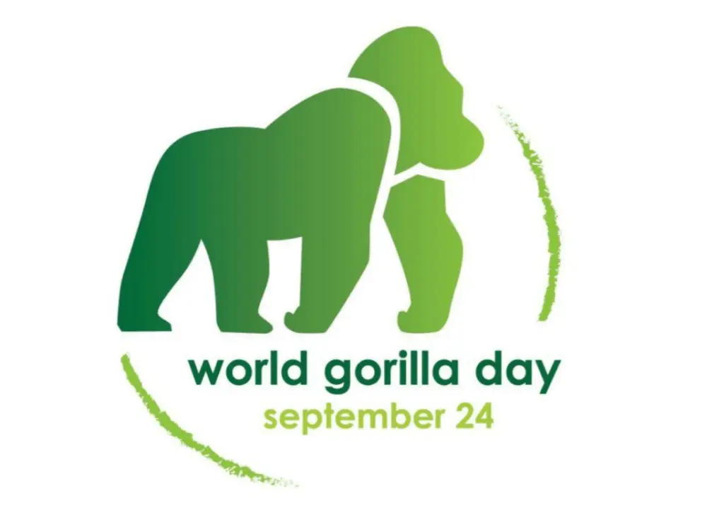 World Gorilla Day 2021