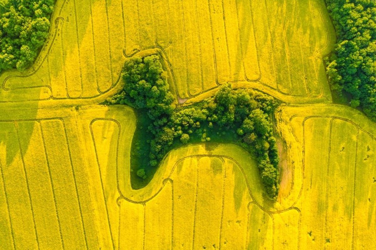 aerial photography in the 2021 Drone Photo Awards