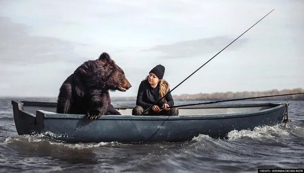 Can You Bear, a Bear Friend?