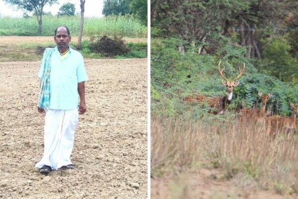 70 year old From Tamil Nadu’s Village to Give Up Fifty Acre Farm for Deer