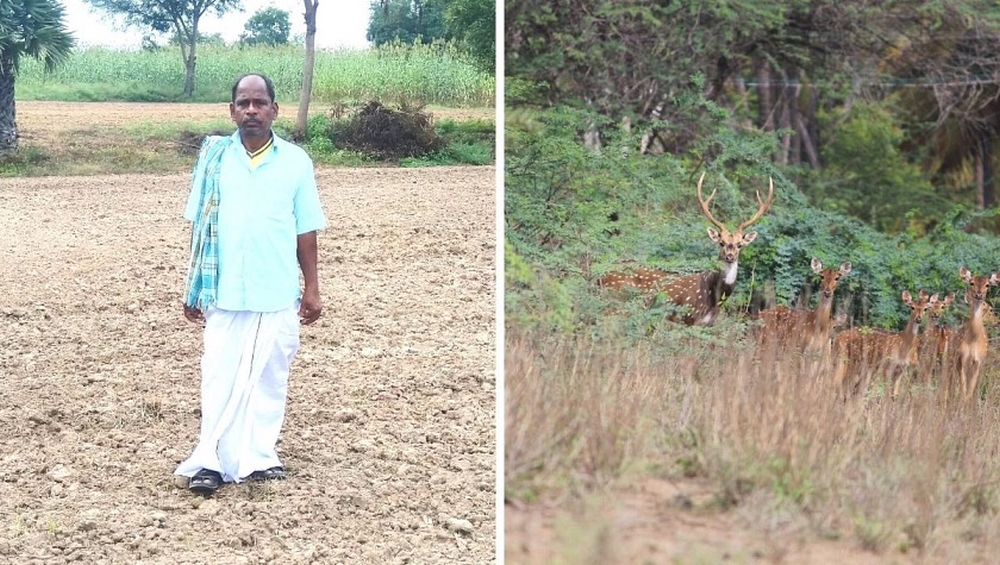 70 year old From Tamil Nadu’s Village to Give Up Fifty Acre Farm for Deer