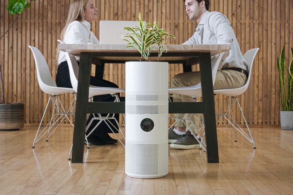 Aria NASA Inspired Hybrid Plant Based Air Purifier