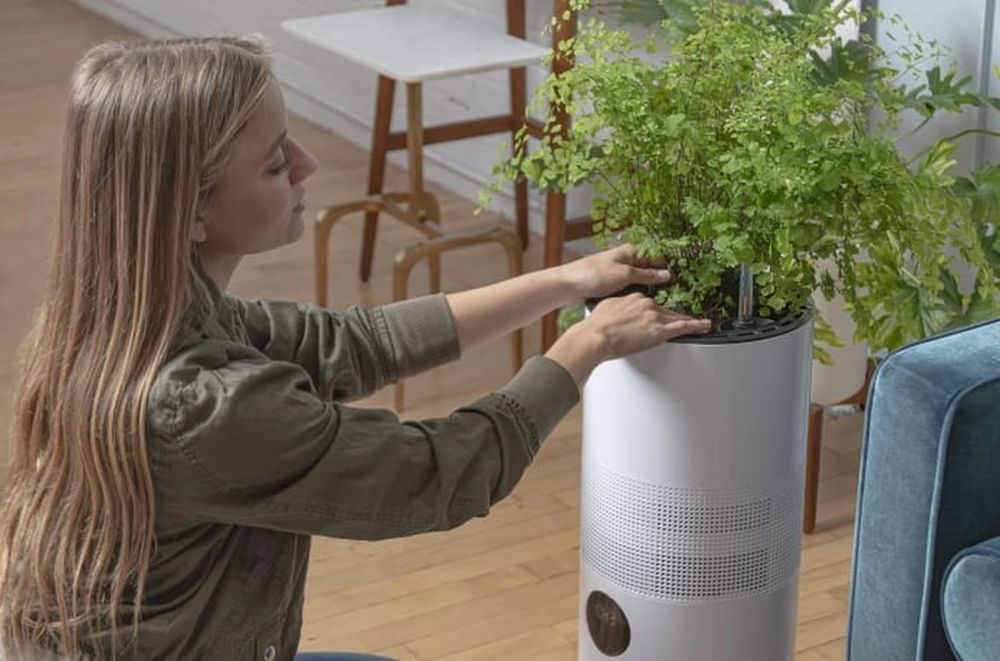 Aria NASA Inspired Hybrid Plant Based Air Purifier