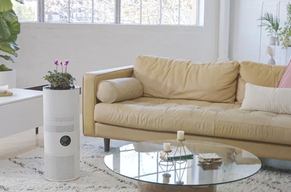 Aria NASA Inspired Hybrid Plant Based Air Purifier