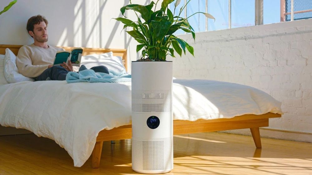 Aria NASA Inspired Hybrid Plant Based Air Purifier