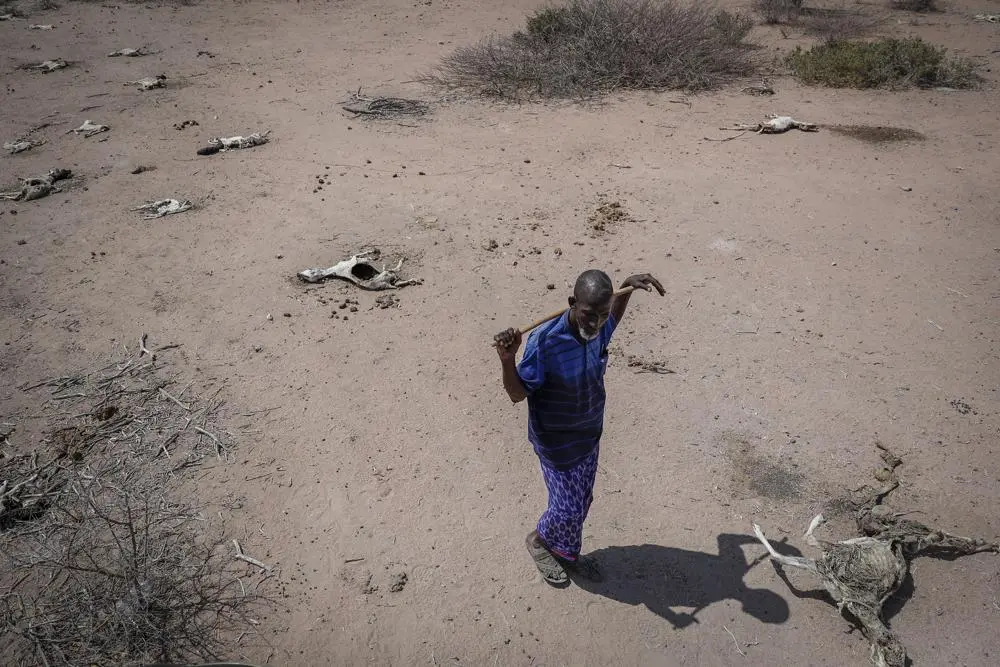 Kenya Drought: Dying Livestock, Exposed Women and Realities of Climate Change