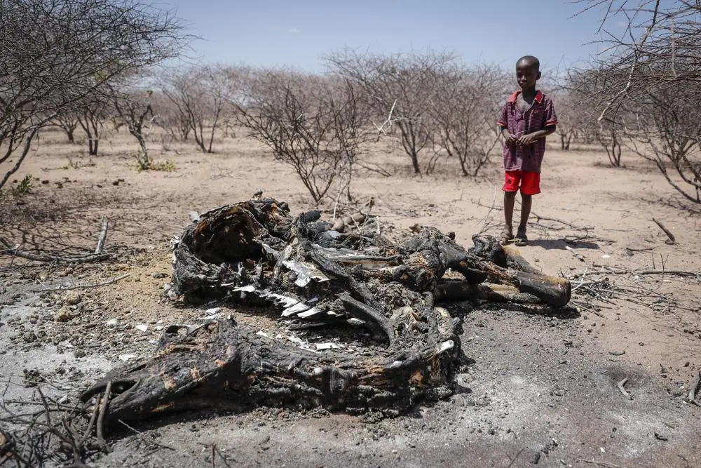 Kenya Drought: Dying Livestock, Exposed Women and Realities of Climate Change