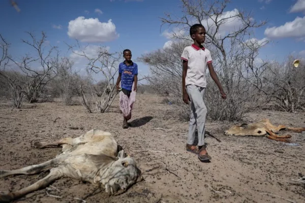 Kenya Drought: Dying Livestock, Exposed Women and Realities of Climate Change