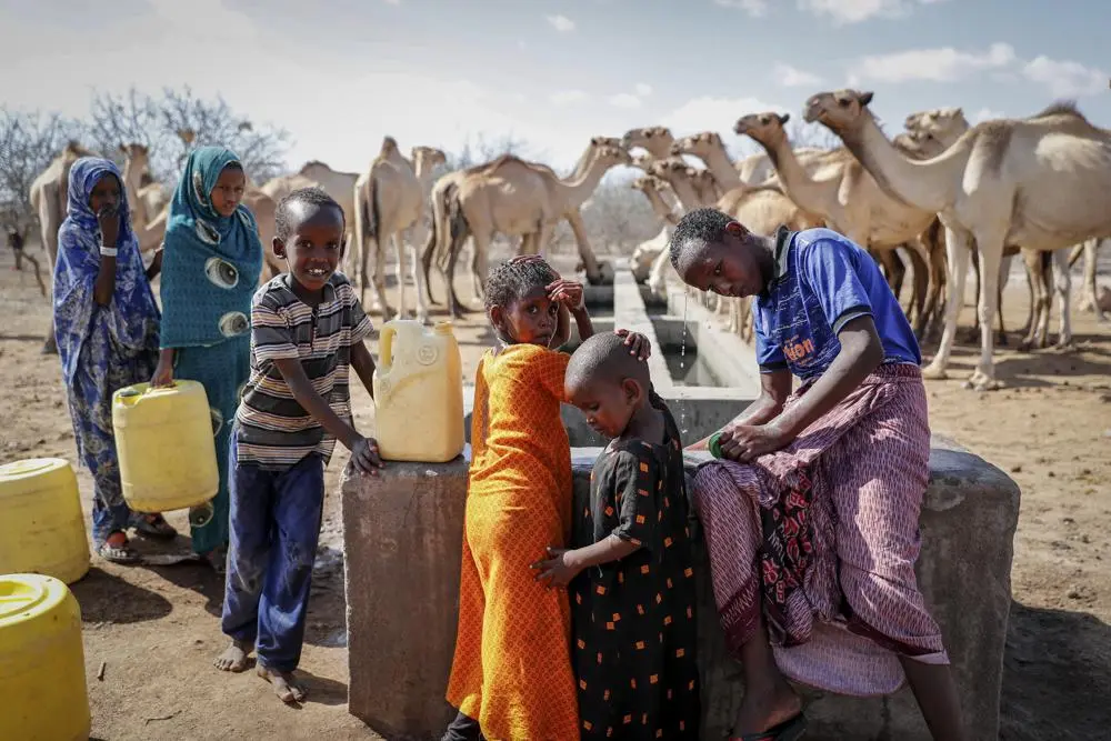 Kenya Drought: Dying Livestock, Exposed Women and Realities of Climate Change