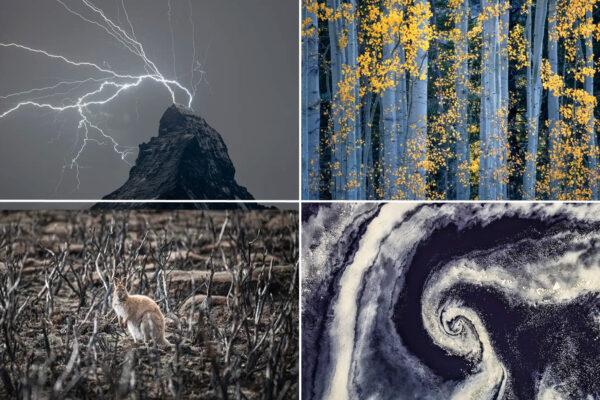 Natural-Landscape-Photography-Awards-2021_Collage