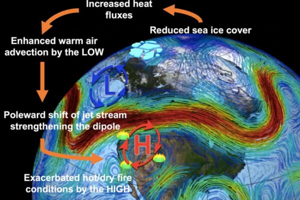 Scientists To find Astonishing Relation Amid arctic Sea Ice Loss and California Wildfires