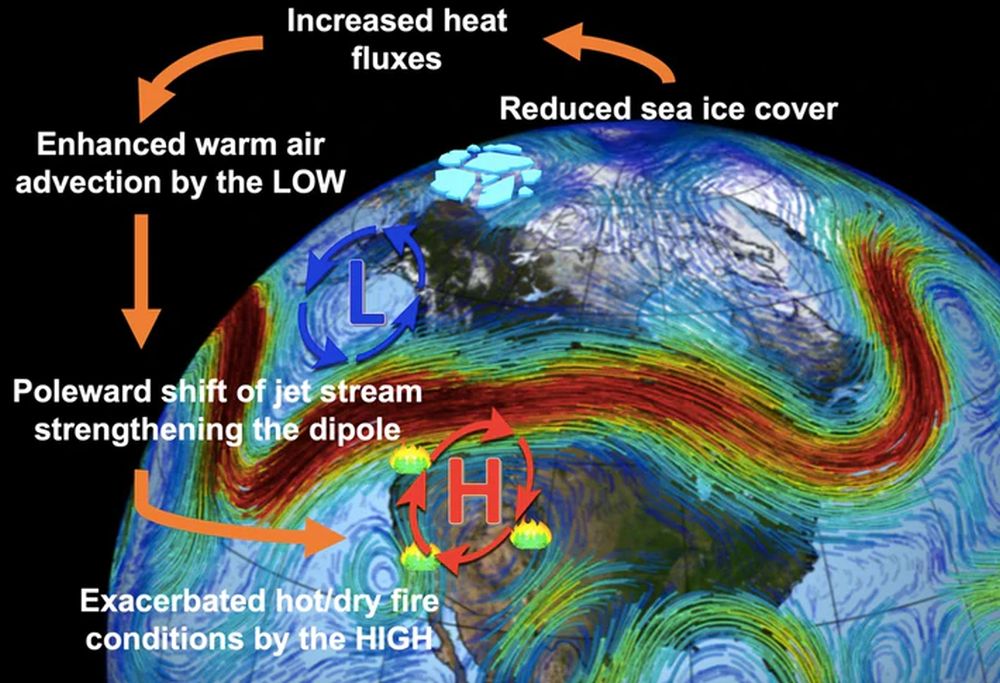 Scientists To find Astonishing Relation Amid arctic Sea Ice Loss and California Wildfires