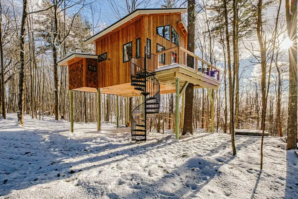 Best Eco-Friendly Treehouses in the World