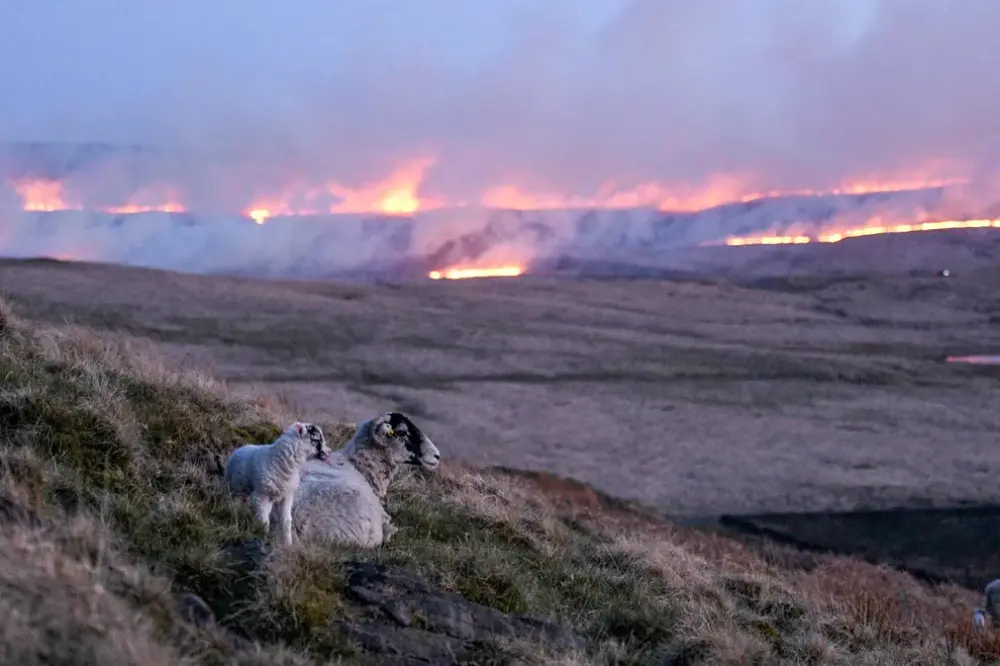 Heartbreaking Pictures of Devastating Climate Disasters of 2021