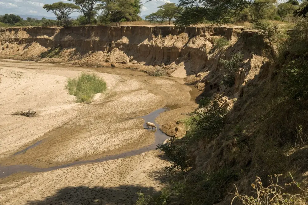 Heartbreaking Pictures of Devastating Climate Disasters of 2021