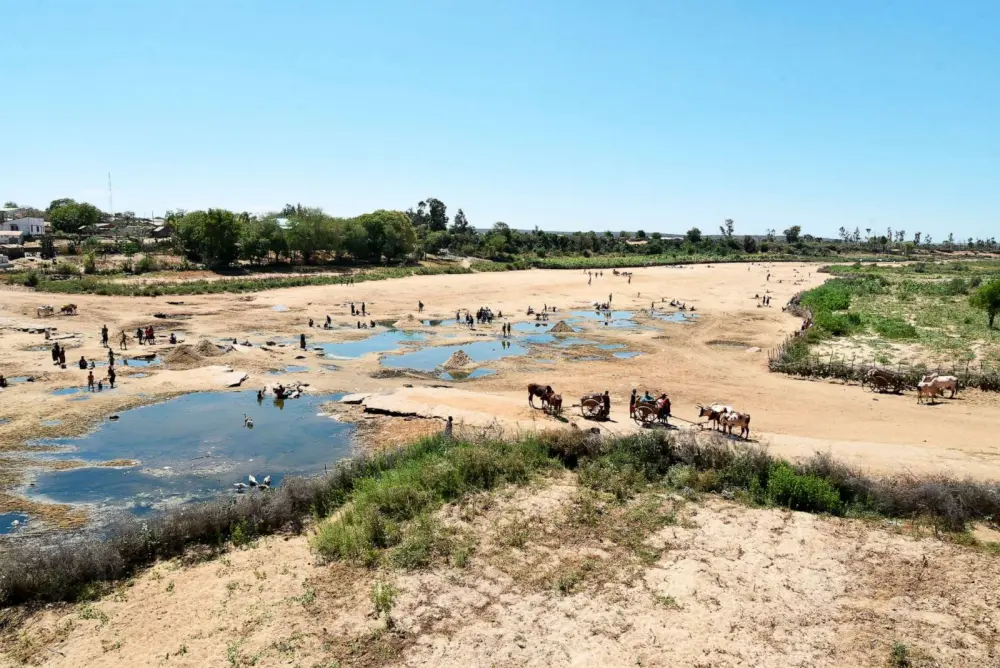 Heartbreaking Pictures of Devastating Climate Disasters of 2021