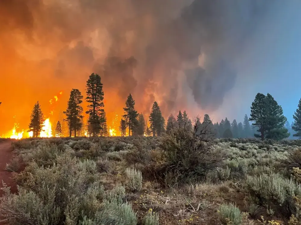 Heartbreaking Pictures of Devastating Climate Disasters of 2021